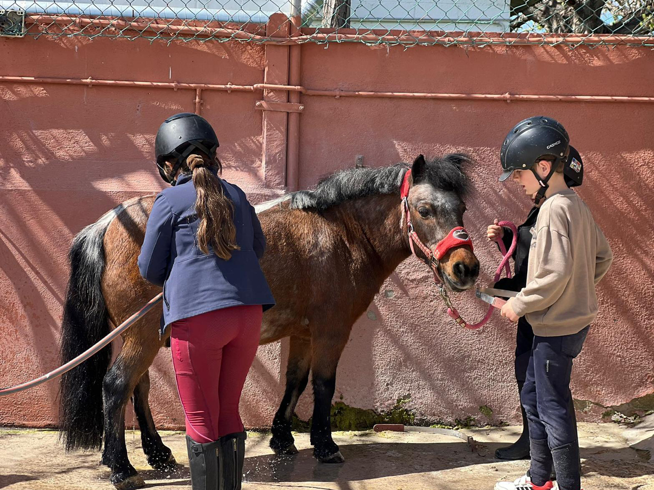 instalaciones escuela hípica Open Sports Club
